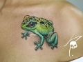 javier-franko-2