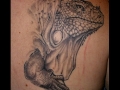 reptile_tattoo_designs