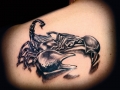 scorpion_tattoo