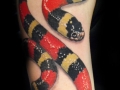 snake_tattoo_by_frosttattoo-d4jy7q2